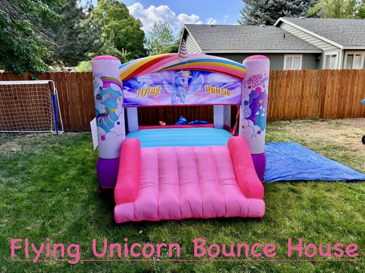 Flying Unicorn Theme Bouncy Castle